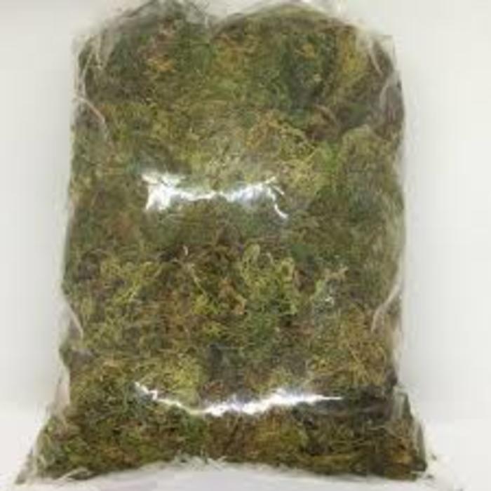 1 BỊCH RÊU rừng ĐÃ KHỬ NẤM-giá thể cho lan và ủ gốc cây SIÊU TỐT