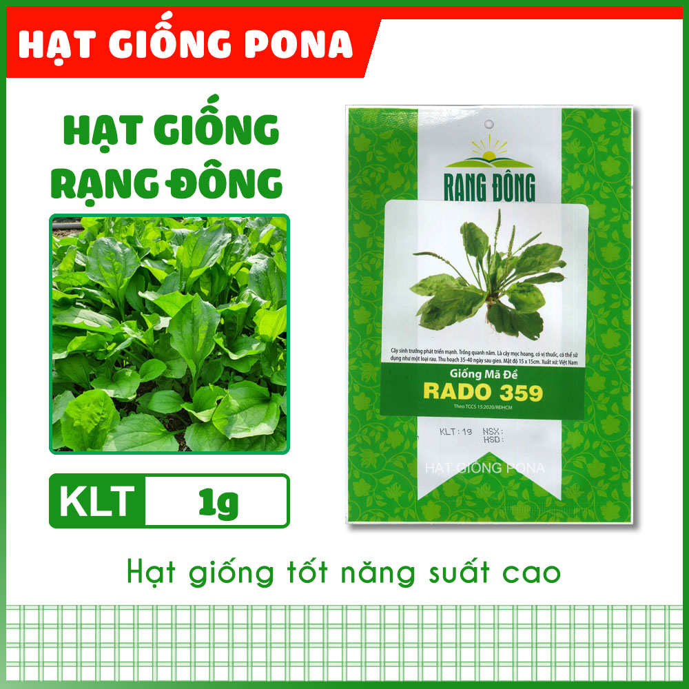 Hạt giống mã đề rado 359 - hạt giống rạng đông