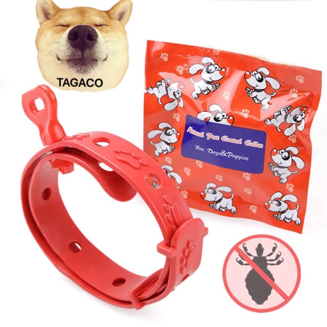 Vòng Cổ Chống Ve Rận Bọ Chét Chó Mèo - Vòng Cổ Chống Bọ Chấy Trên Da Lông Cún, Mèo - Không Thấm Nước - Phụ Kiện Thú Cưng