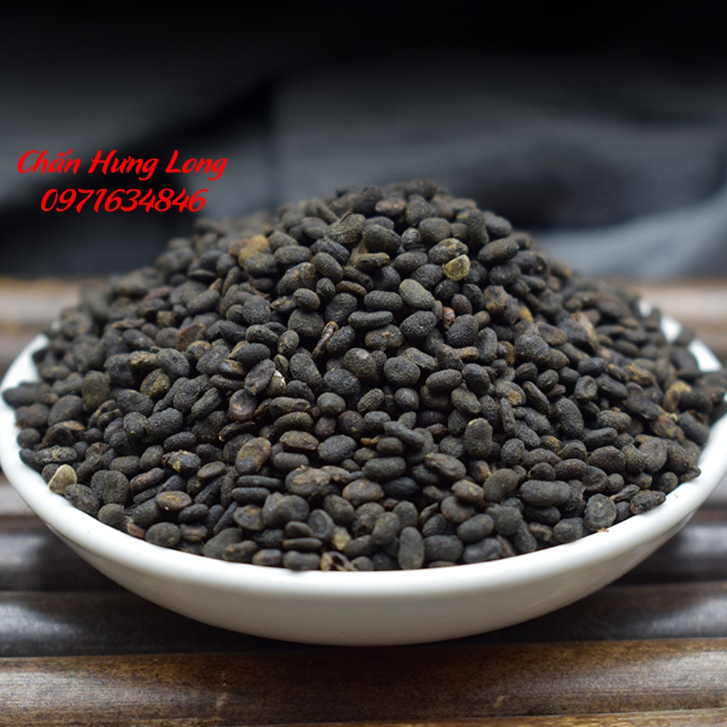 Bổ cốt chỉ - phá cố chỉ 100g - đông y chấn hưng long