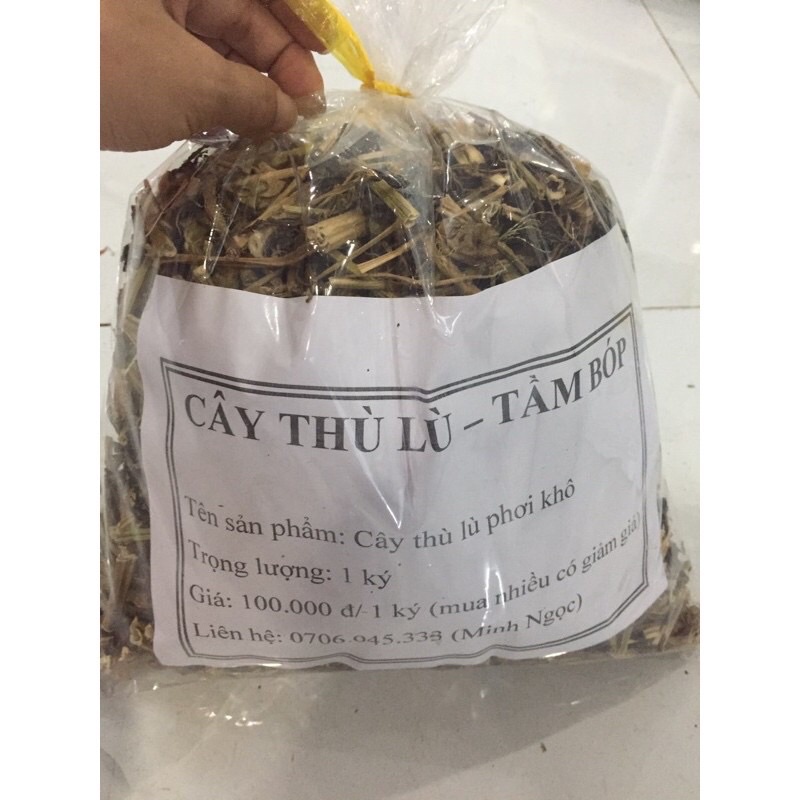 Sỉ giá rẻ1kg cây tầm bóp - cây thù lù phơi khô sạch sẽ thơm