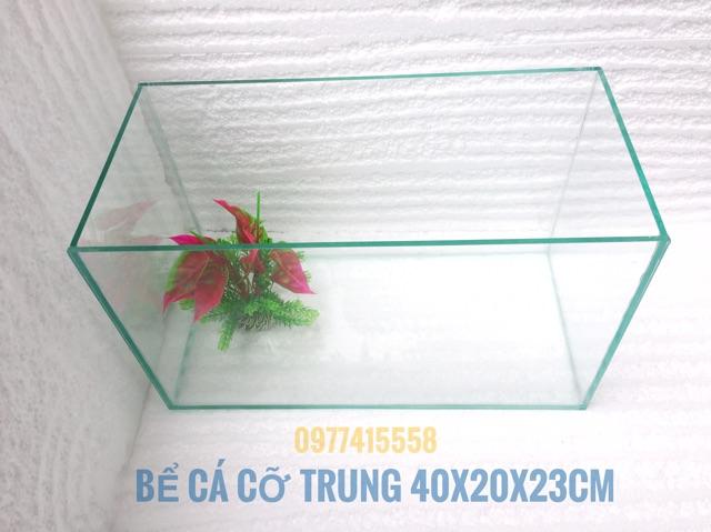 Bể cá cảnh 4023cm- bể cá để bàn , trang trí nhà cửa