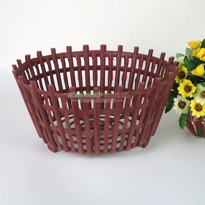 Chậu nhựa giả gỗ trồng lan phi 30 cm