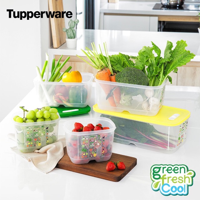 Bộ hộp trữ mát có nút hô hấp Tupperware Ventsmart 5 hộp