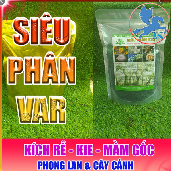 Siêu phân var - chế phẩm ngọc linh cao cấp 500g