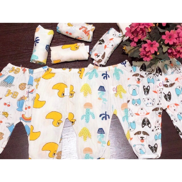 Combo 10 quần chục dài cotton giấy