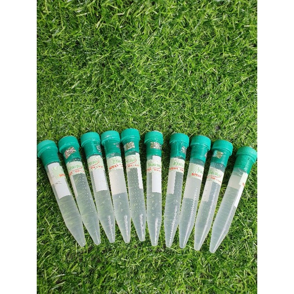 Combo 5 lọ duy xanh chỉ 199k, kích mầm keiki duy