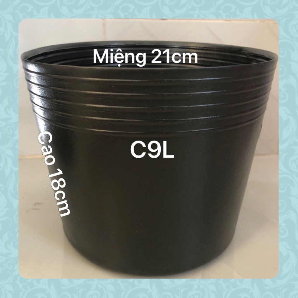 Chậu nhựa trồng cây 50 cái C9L đen