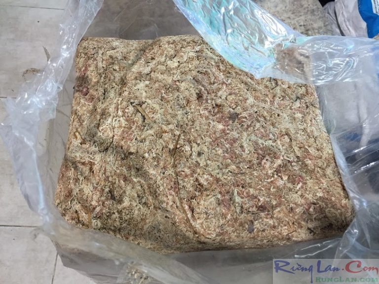 Rêu trắng Chile 5 sao dớn Chile bịch tương đương 1kg giữ ẩm trồng lan trồng cây