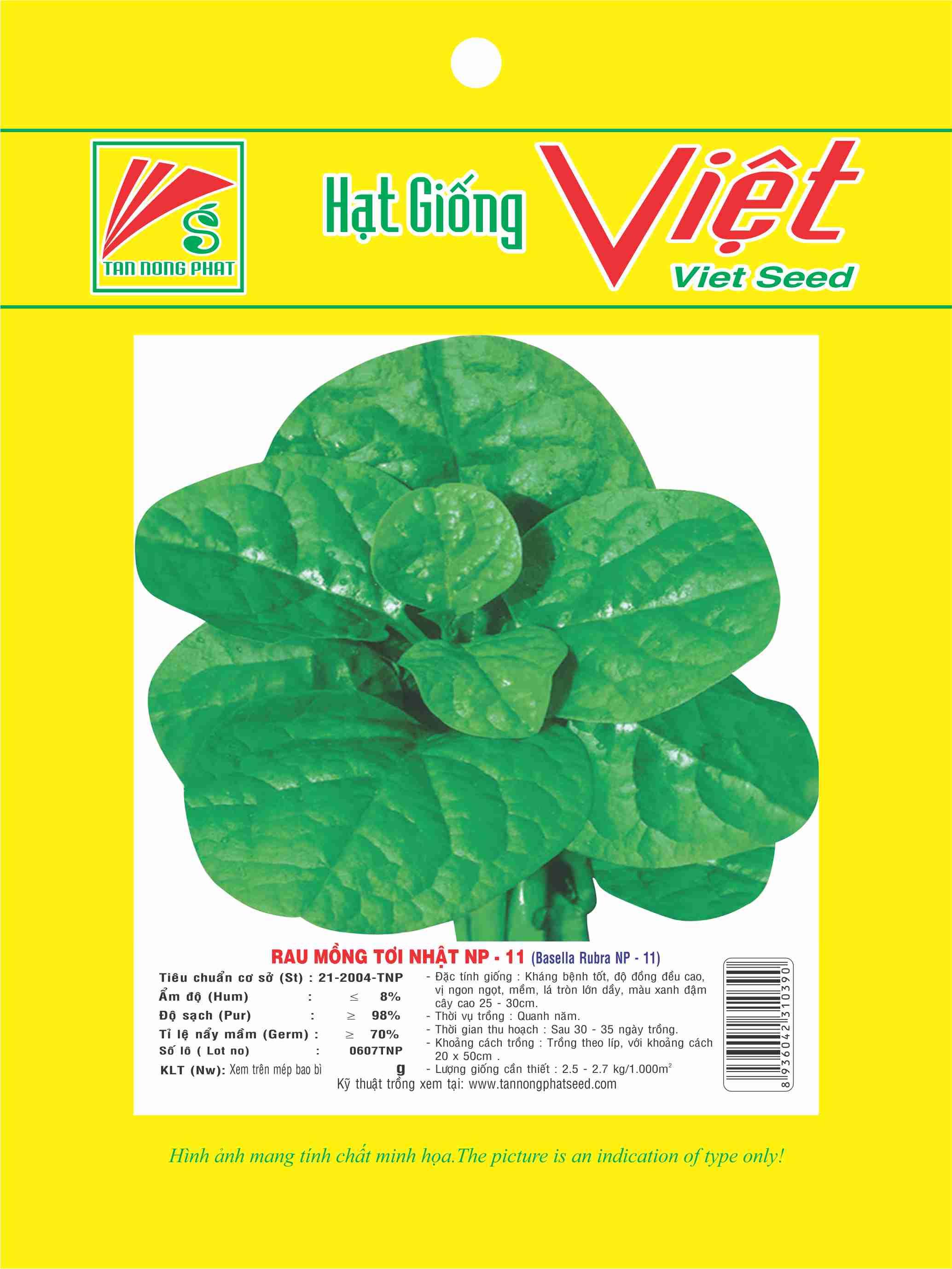 HẠT GIỐNG RAU MỒNG TƠI NHẬT 10g