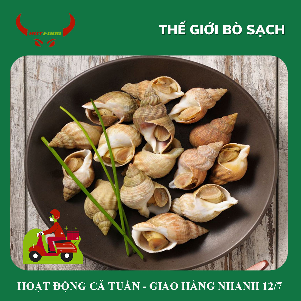 Ốc bulot pháp - 1kg - giao nhanh hcm