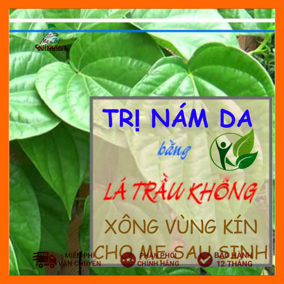 Bột lá trầu không xông hơi vùng kín phụ nữ sau sinh dạng túi lọc, Trị nám da