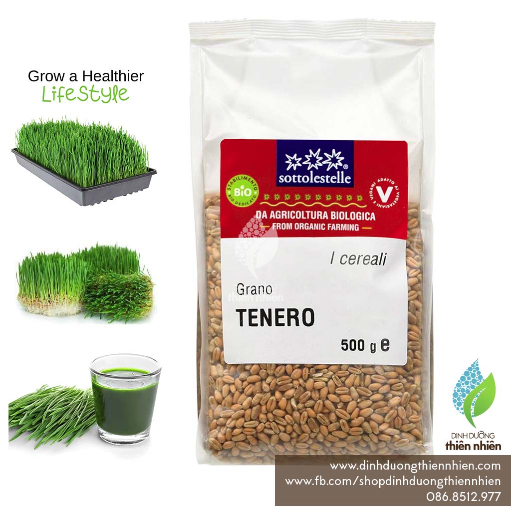 Hạt cỏ lúa mì hữu cơ sottolestelle organic wheat grass seeds, 500g & 1kg