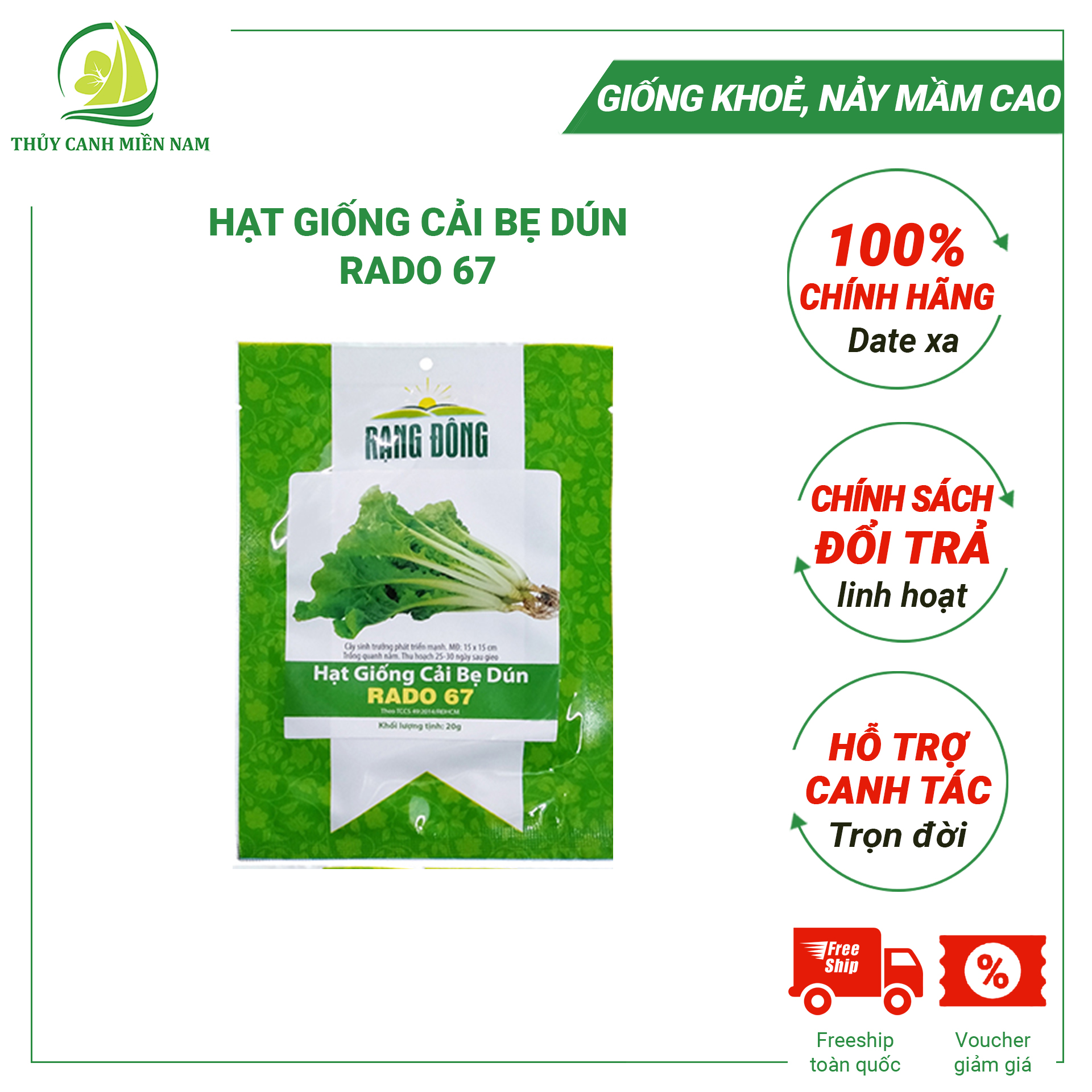 [Có hướng dẫn ươm] Hạt giống cải bẹ dún RADO 67 | Giống khoẻ, tỉ lệ nảy mầm đến 90% (20G)