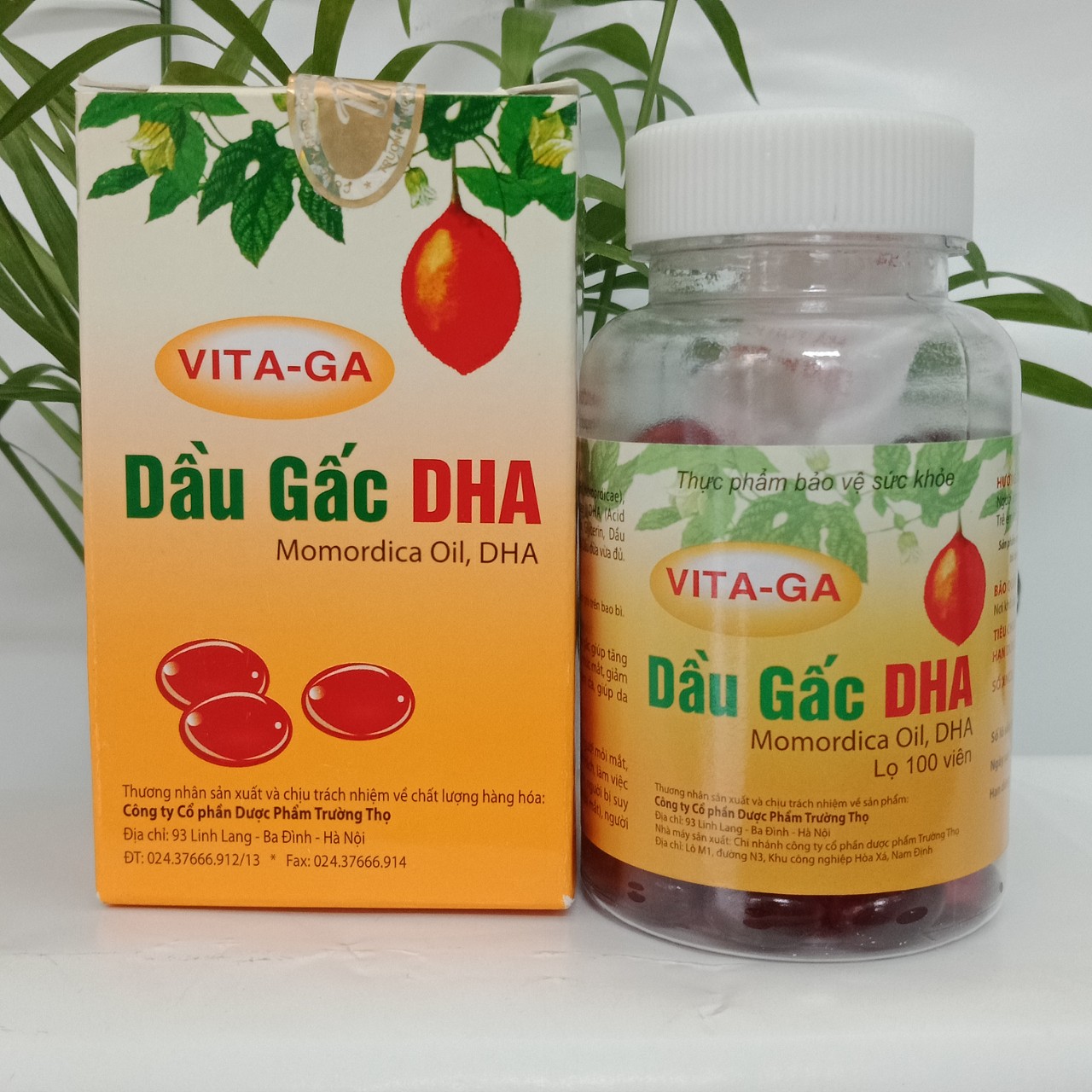 Viên uống bổ mắt DẦU GẤC DHA, lọ 100 viên