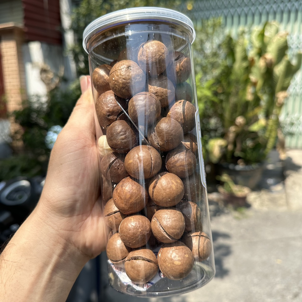 Lon 500gram - hạt mắc ca sấy - mắc ca đăk lăk date mới