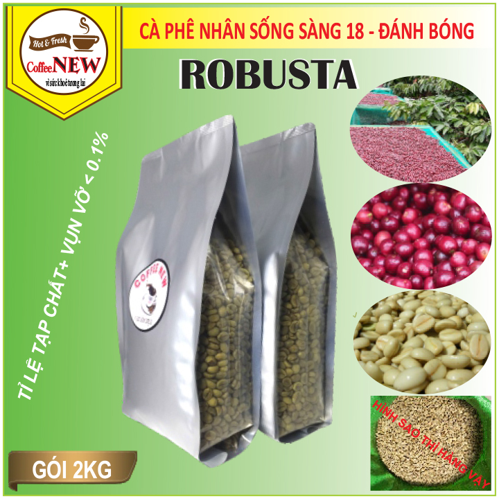 2KG Cafe Nhân Sống ROBUSTA Chưa Rang Hàng Chất Lượng Cao Chuẩn Xuất Khẩu Sàng 18 Bắn Màu - Coffee New