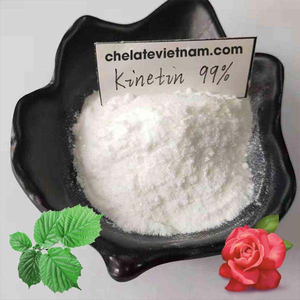 Cytokinin Kinetin 99% (Kích rễ, kích chồi trong nuôi cấy mô...) gói 50g tặng kèm dung môi