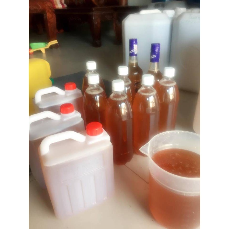 Mật ong hoa vải lục ngạn/ hoa nhãn/ hoa cà phê 1 lít