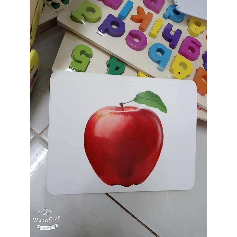 [XẢ KHO SỐC] Bộ thẻ học Glenn Doman kt TO A5 - 17x21cm dạy bé nhận biết về Thế giới xung quanh kết hợp dạy Từ vựng.