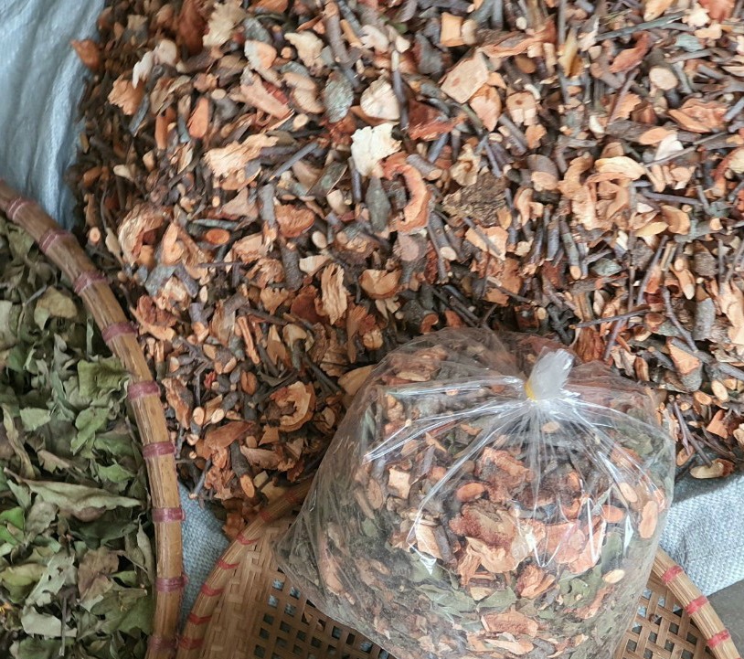 TẦM GỬI CÂY GẠO RỪNG. tác dụng bồi bổ thận, giúp đỡ các bệnh lý về thận như sỏi thận, viêm thận mãn tính. 1 KG