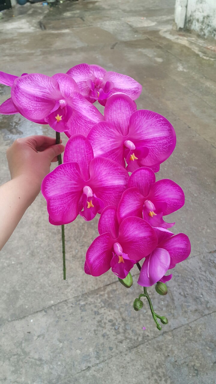 [HCM]1 Cây Lan hồ điệp bằng cao su 9 bông 90cm MÀU TÍM - Hoa giả - Hương Flower