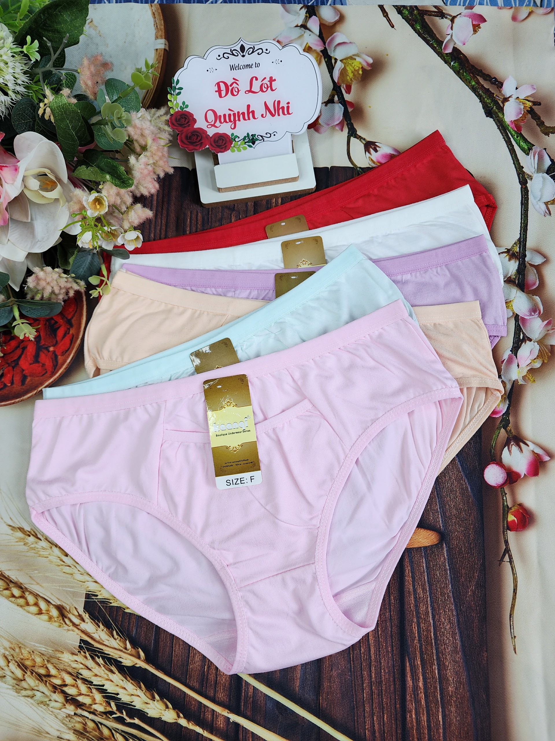 Combo 5 và 10 Quần Lót Nữ Cotton Có Túi Co Giãn Tốt Thoáng Mát Thấm Hút Mồ Hôi Size :55 - 70 Kg [843] - Đồ Lót Quỳnh Nhi