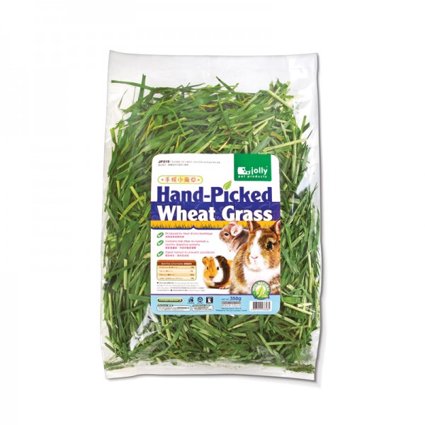 Cỏ lúa mì nhỏ 350g
