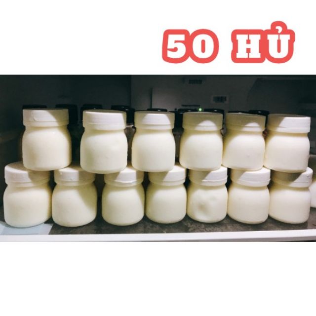 50 hủ nhựa 90ml rỗng đựng sữa chua