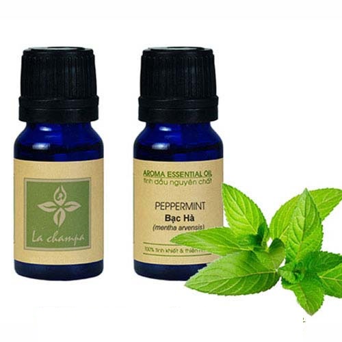 Tinh Dầu Bạc Hà Peppermint Nguyên Chất 10ml