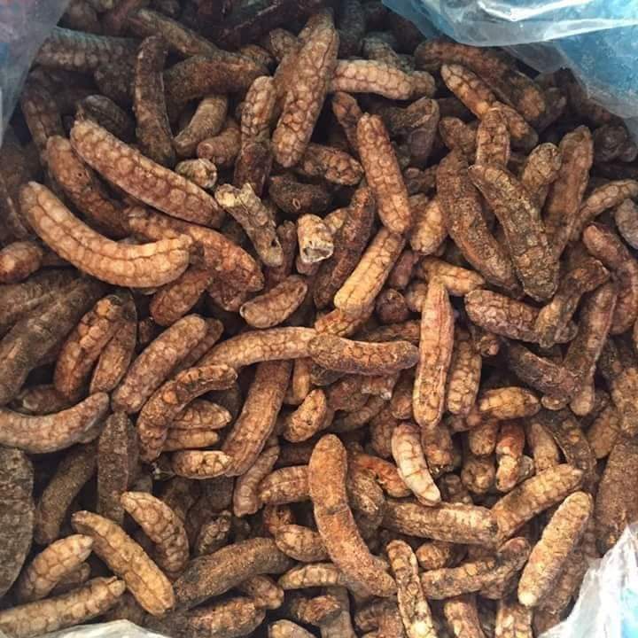 Chuối hột rừng 1kg