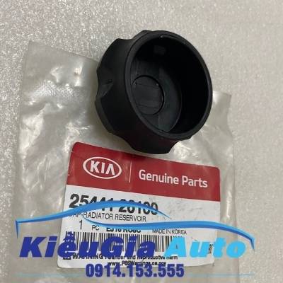 Nắp bình nước phụ Hyundai Starex