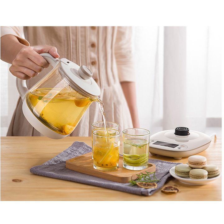 Ấm đun nước pha trà đa năng Bear YSH-A08U6, ấm trà chịu nhiệt tiện ích cho gia đình, ấm trà thủy tinh dày dặn cao cấp