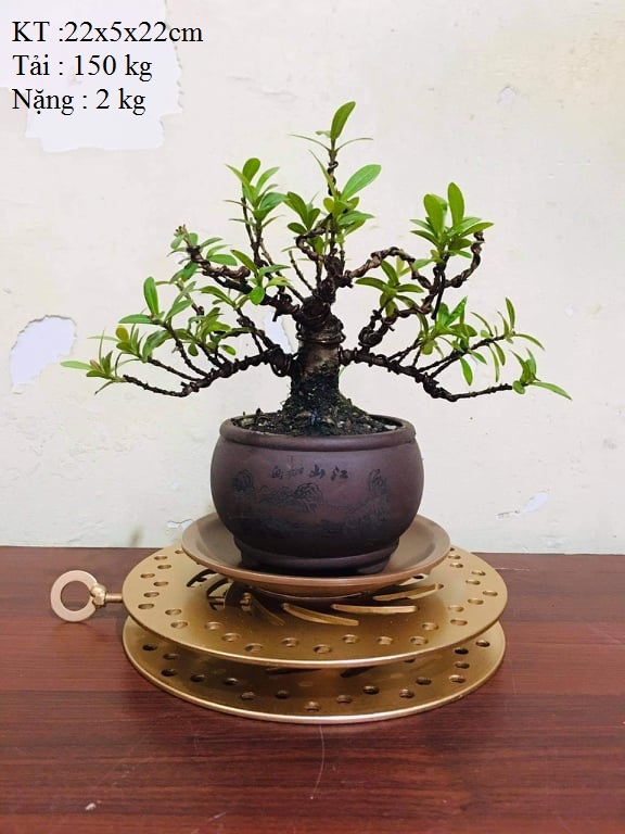 Bàn xoay tay size nhỏ trưng cây cảnh, bonsai, cắm hoa, trưng đồ, live stream, tải 150kg. 22L