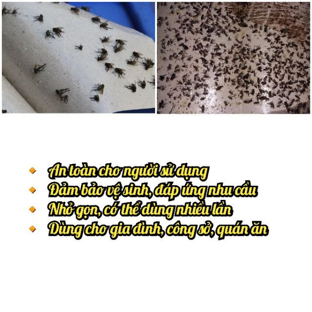 Keo dính ruồi siêu dính