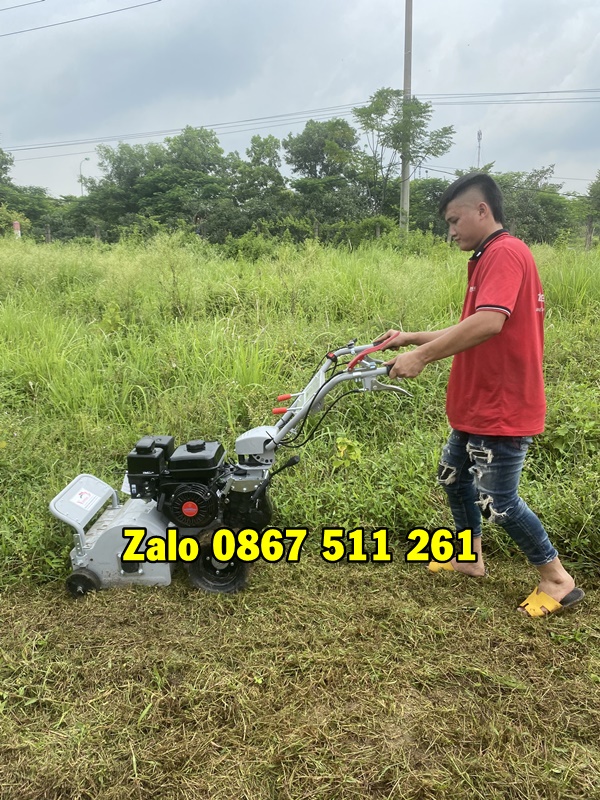 Máy quật cỏ trục băm, máy cắt cỏ trục băm giá rẻ lưỡi cắt cao cấp 3 cạnh khía