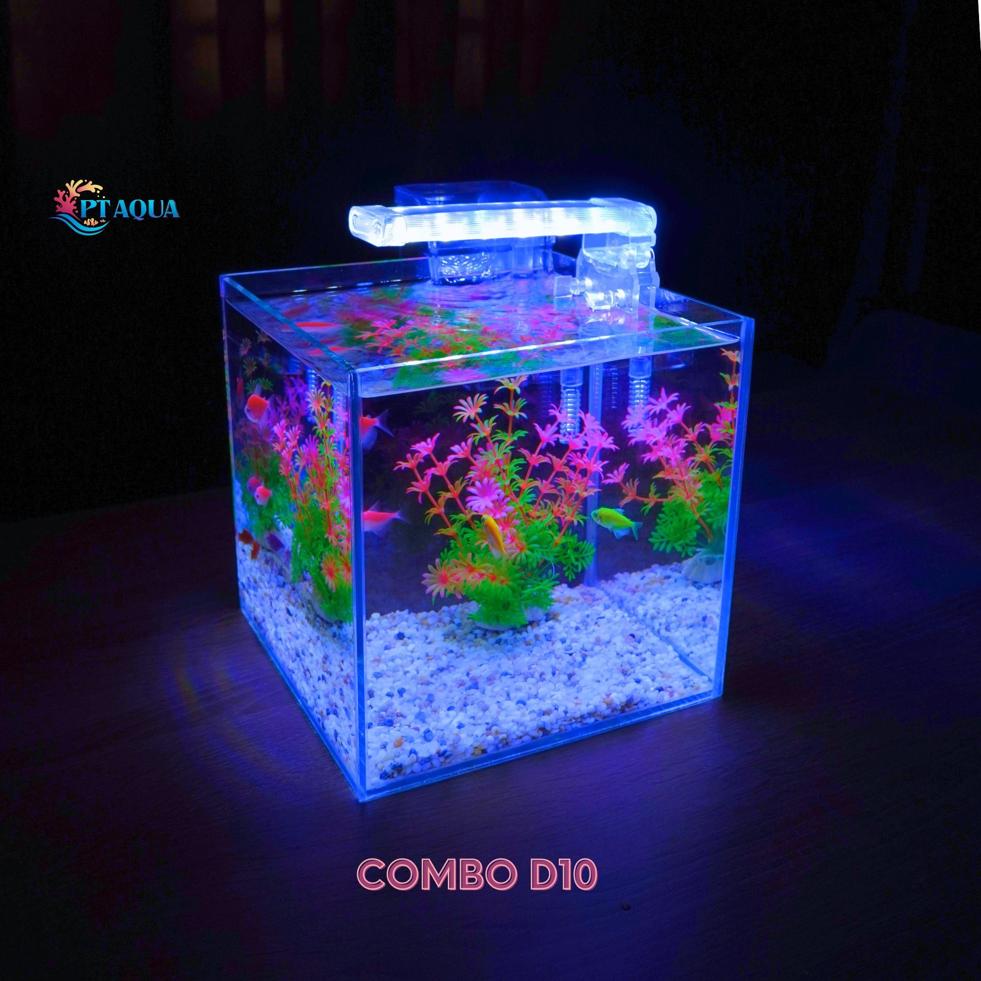 Bể cá mini để bàn CUBIC 20 combo nhiều mẫu nhỏ xinh phù hợp nuôi cá cảnh để bàn