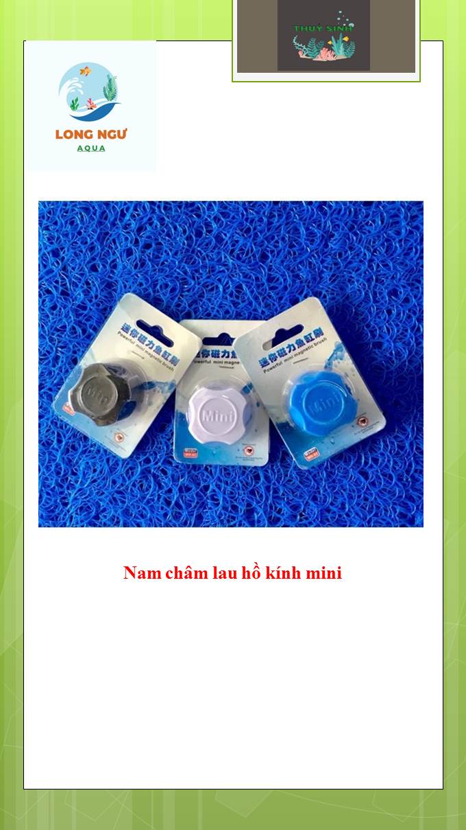 Nam châm mini vệ sinh hồ cá, hồ thủy sinh