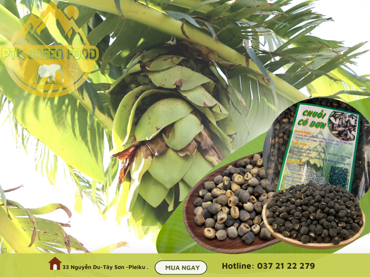 Chuối hột cô đơn- Đặc sản Tây Nguyên chuẩn rừng 100%