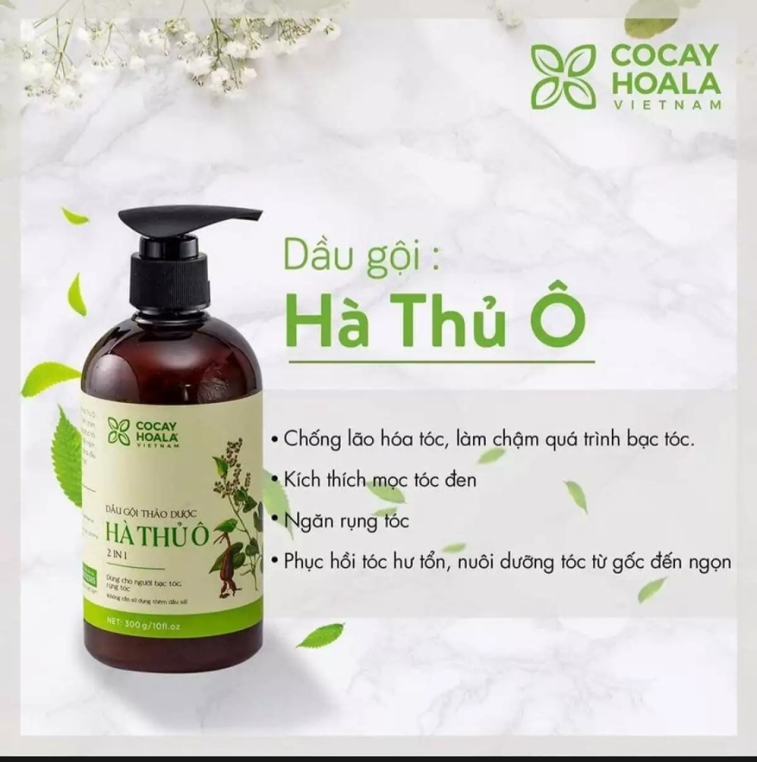 Dầu gội thảo dược Hà thủ Ô kích mọc tóc - làm dày tóc - đen tóc (chai 300ml)