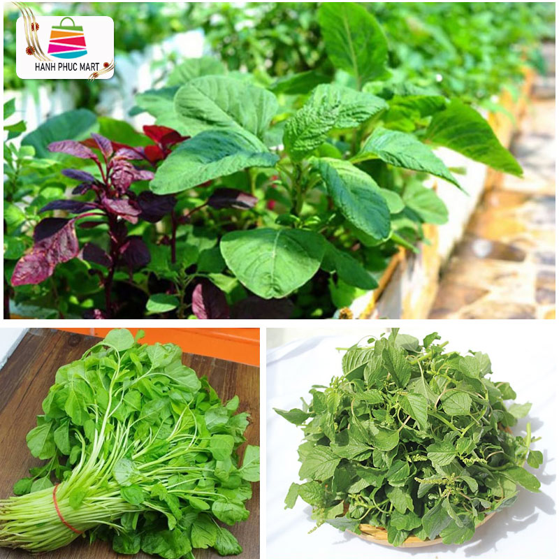 Hạt giống dền xanh lá tròn PN - 20g - PhuNongSeeds