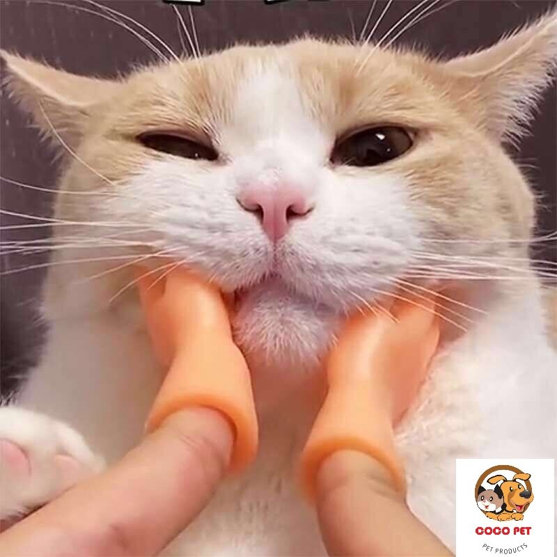 Bàn tay cao su matxa, gãi ngứa cho mèo