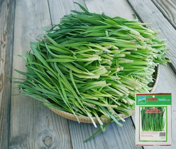 Hạt Giống Hẹ Cao Sản (Chives) Phú Nông - KLT 2g - PhuNongSeeds - Hạt Giống Rau Củ Quả Nảy Mầm Nhanh Sinh Trưởng Mạnh - VTNN Nông Điền Trang