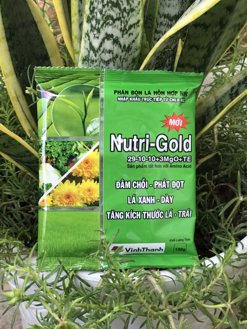 NUTRI GOLD ĐÂM CHỒI PHÁT ĐỌT LÁ XANH TRÁI NHẬP KHUẨN TỪ ĐỨC