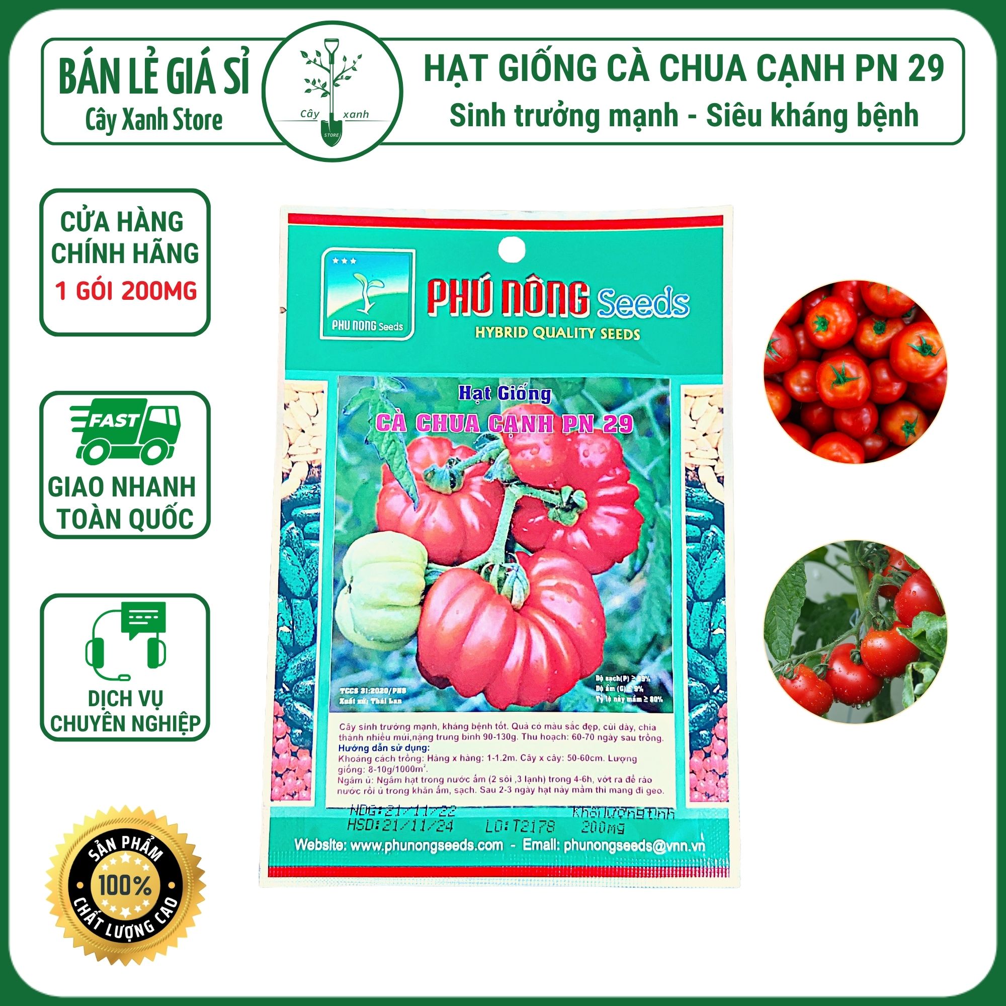 Hạt giống cà chua cạnh phú nông, sai quả, sinh trưởng mạnh 0.2gr