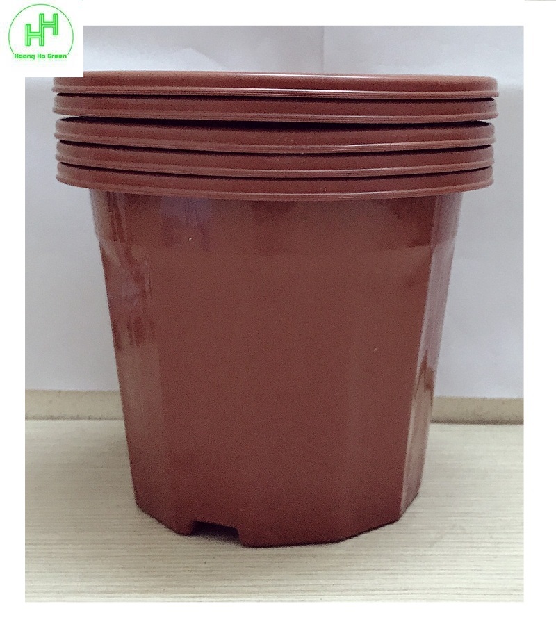 5 chậu nhựa trồng hoa, cây cảnh e230 cn