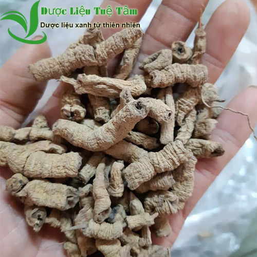 Ba kích tím quảng ninh - khô tách lỏi( gói 500g)