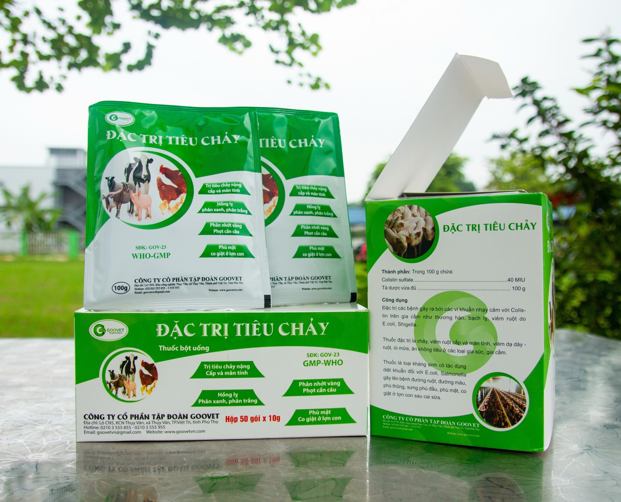 Đặc trị tiêu chảy - đặc trị tiêu chảy nặng cấp tính, hồng lỵ, phân xanh, phân trắng
