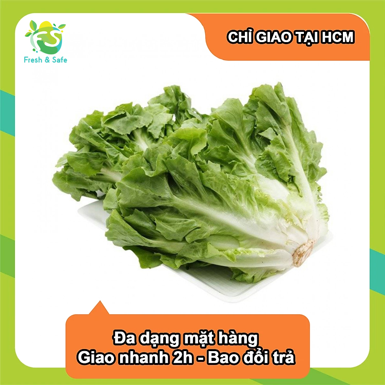 [Chỉ Giao HCM] Xà lách Carol - 1kg (sỉ)