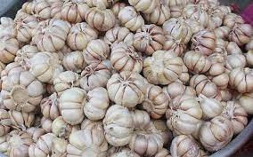 1kg tỏi nhánh lớn
